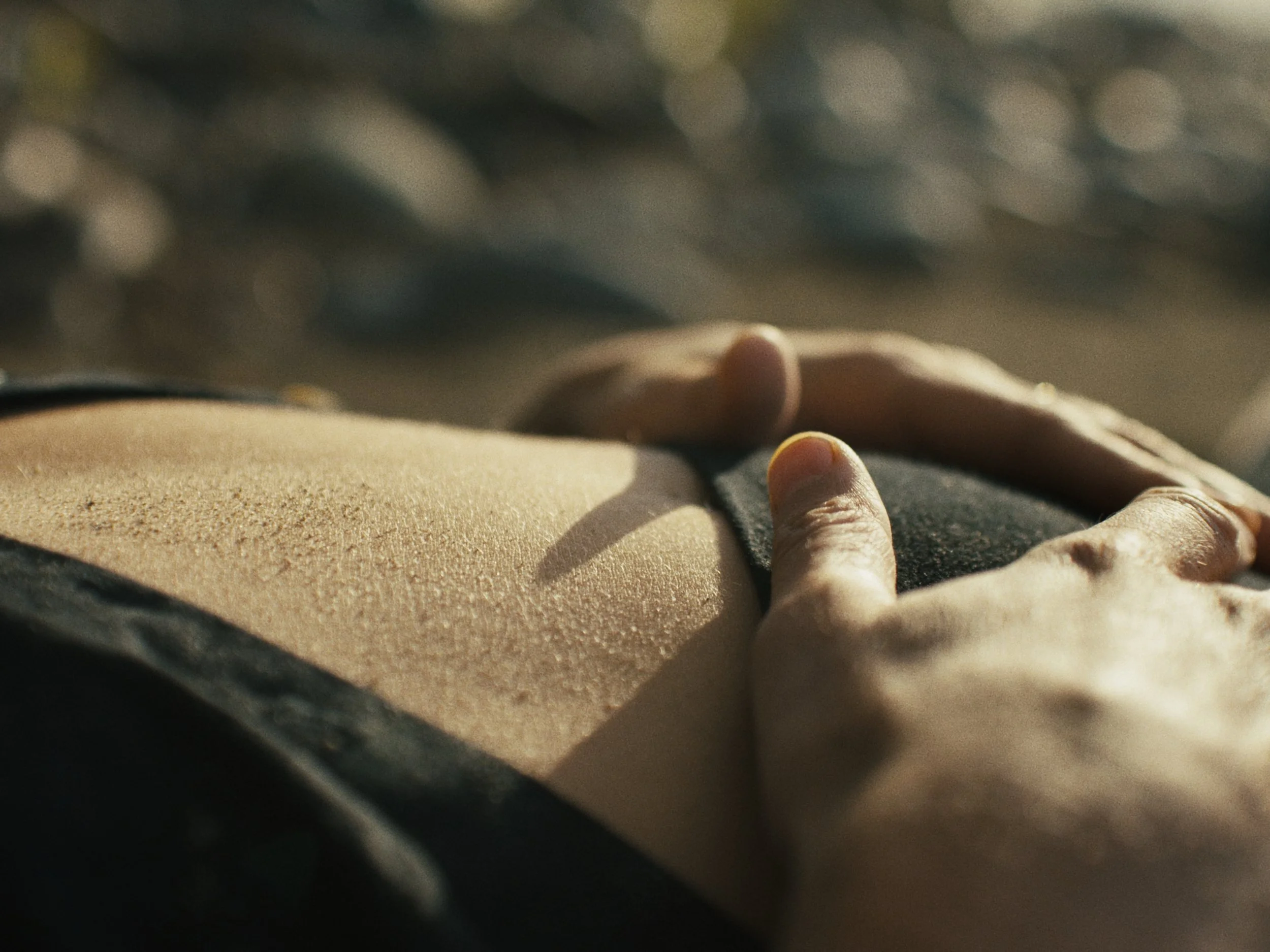 Deciduous Still_1.13.1.jpg