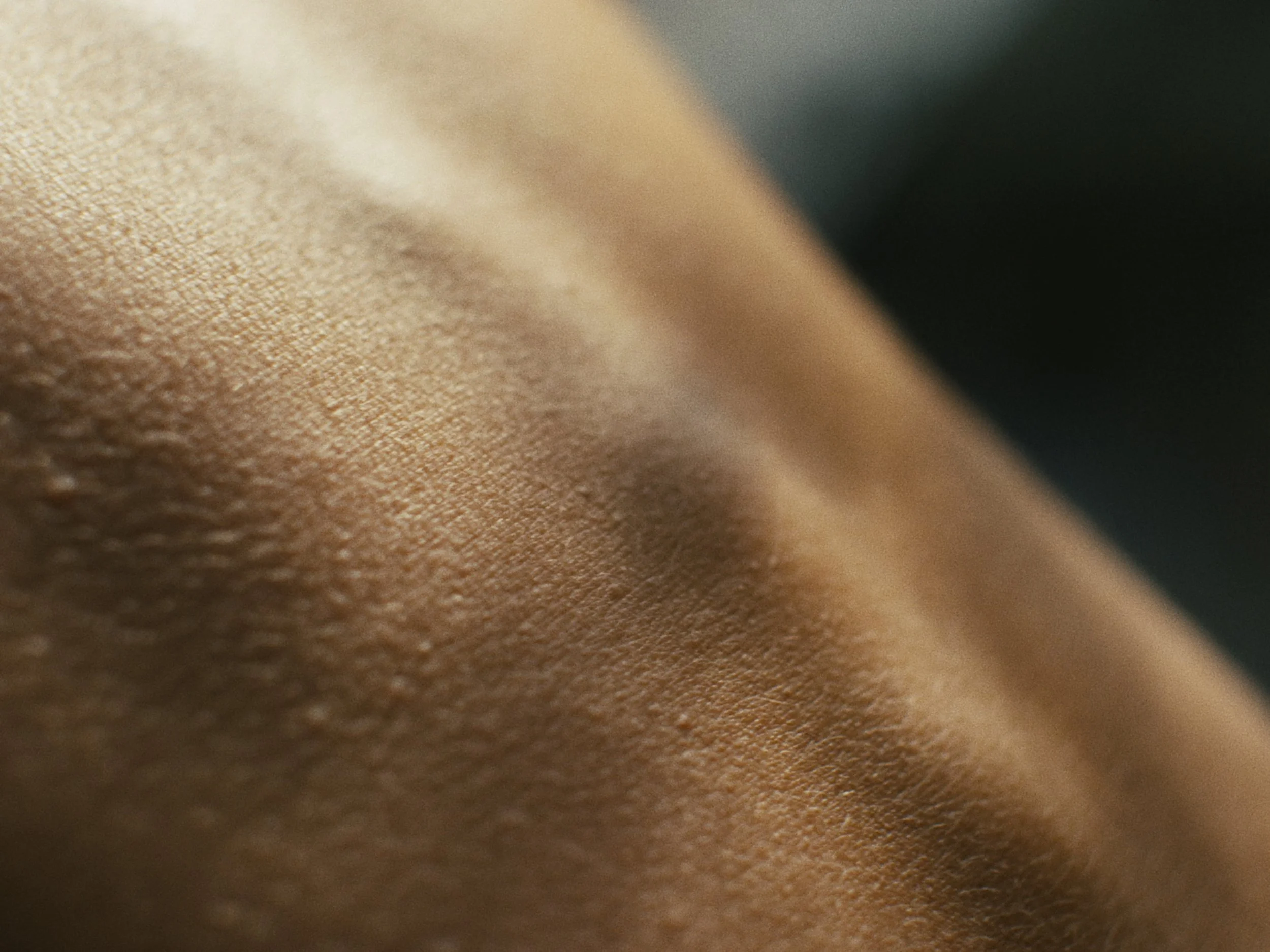 Deciduous Still_1.26.1.jpg