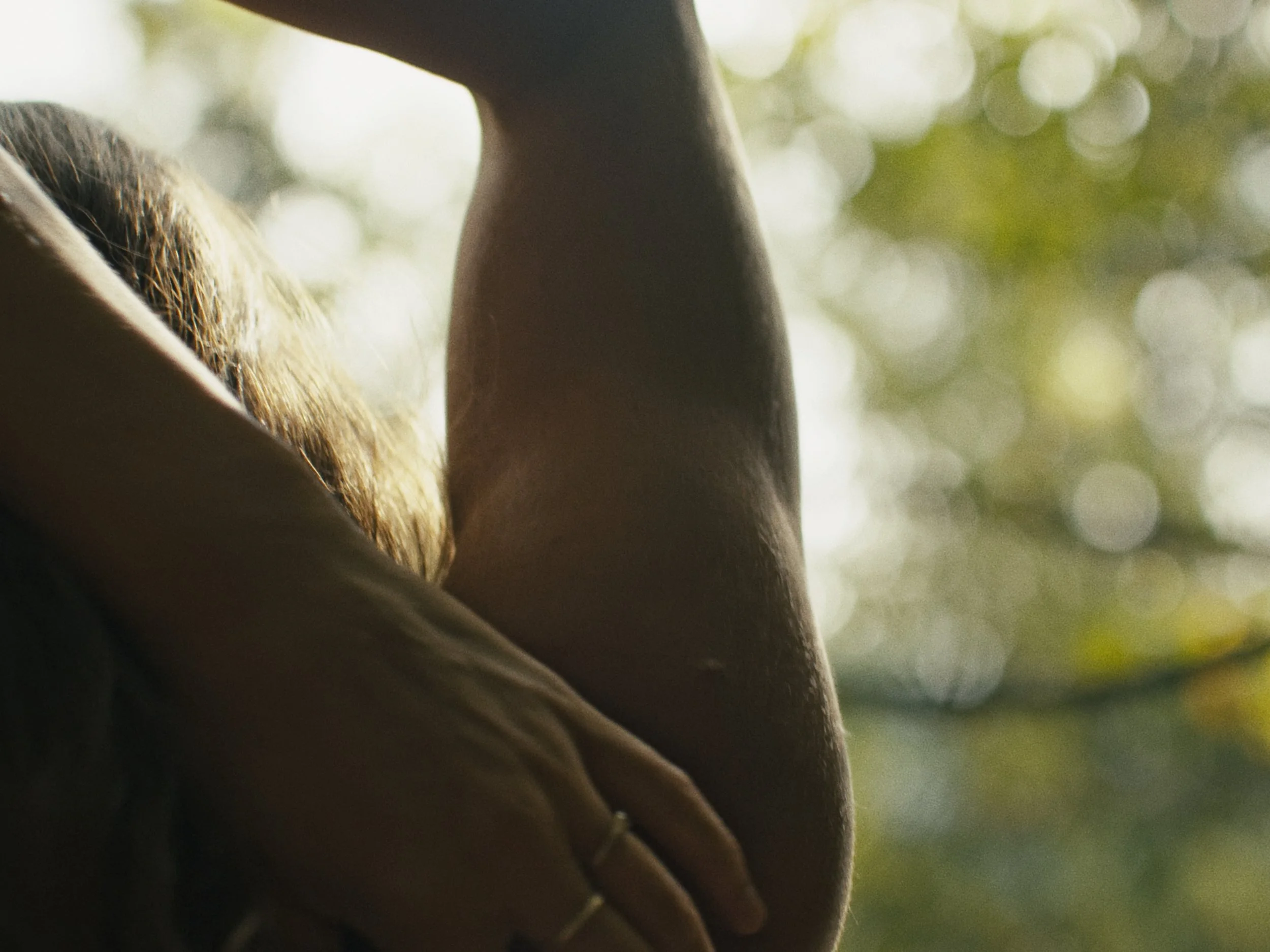 Deciduous Still_1.55.1.jpg