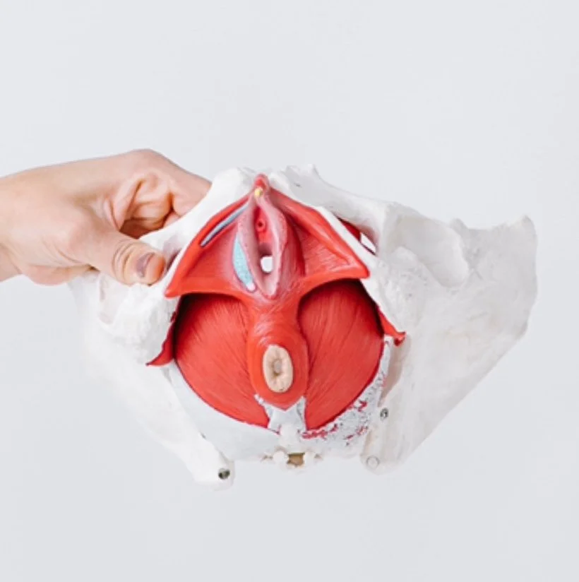 How to Prepare Your Pelvic Floor for Birth
