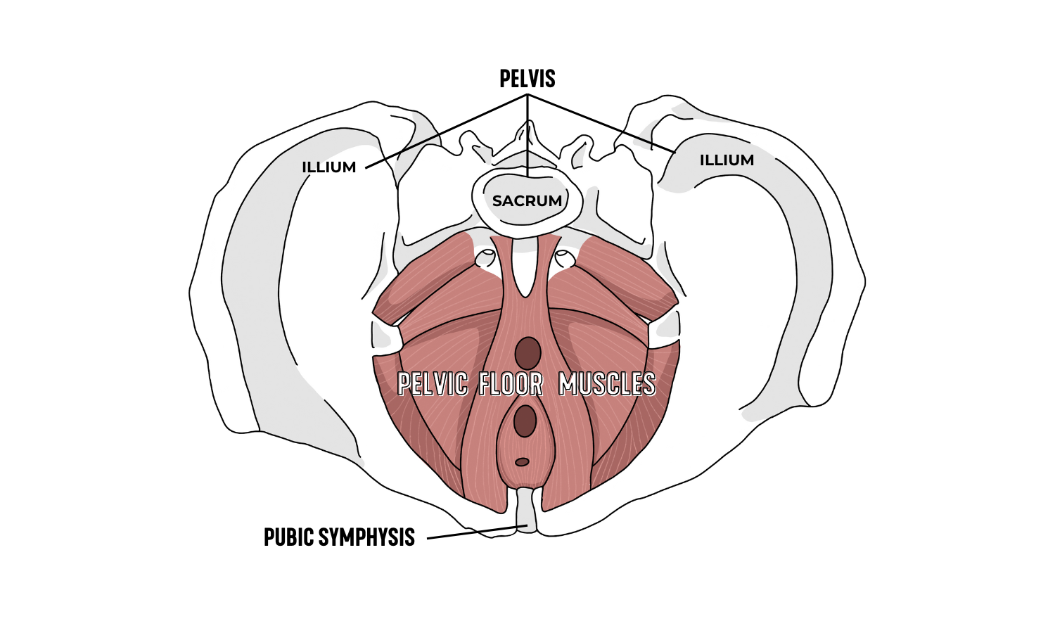 Symphysis pubis dysfunction: Treatment and symptoms
