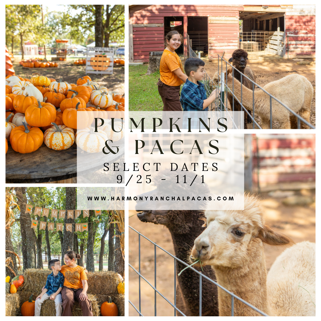 Pumpkin Patch Dallas-Fort Worth
