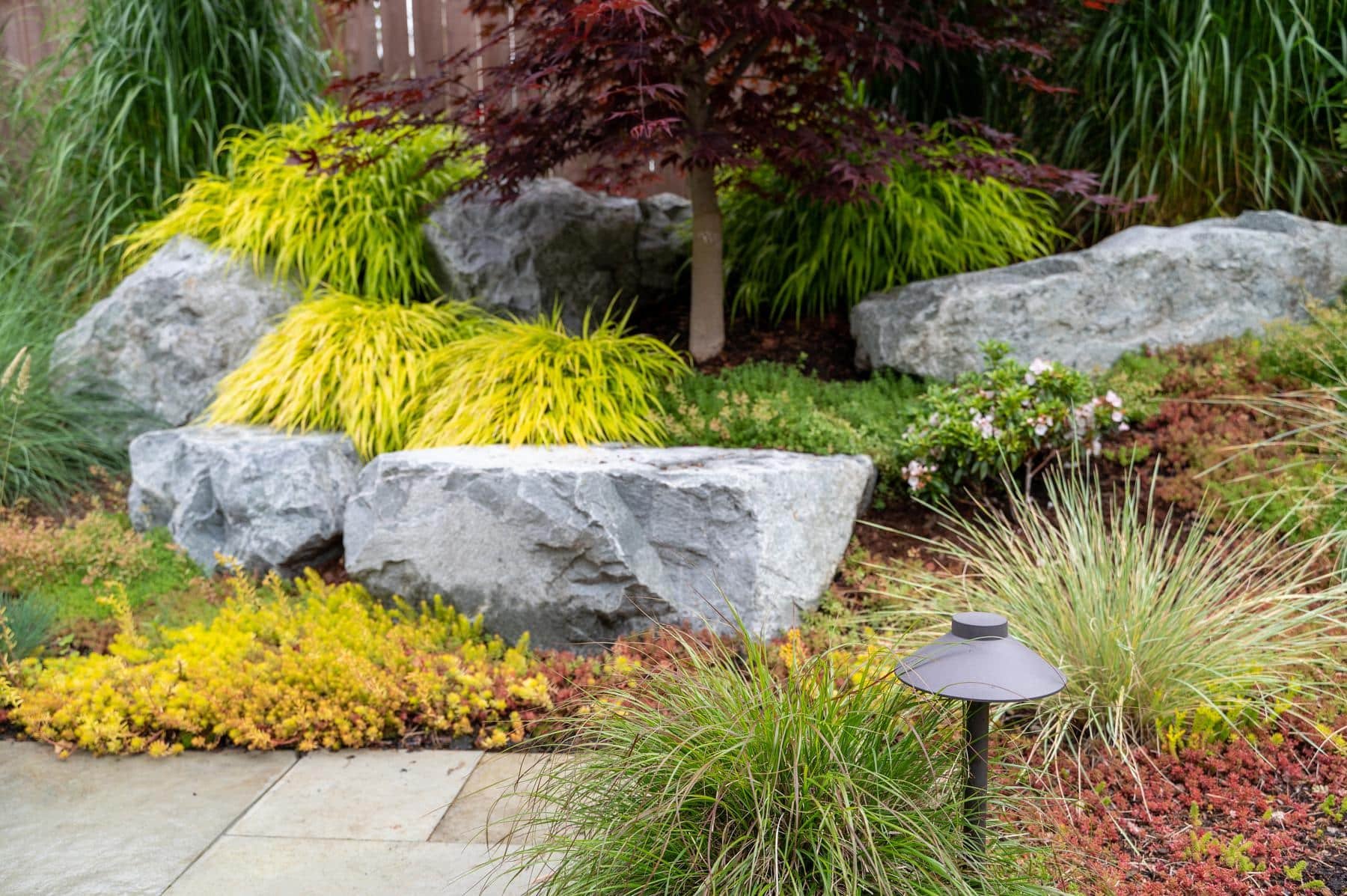 Luscious planting bed with grasses, sedum, Japanese maple, and LED pathway light.