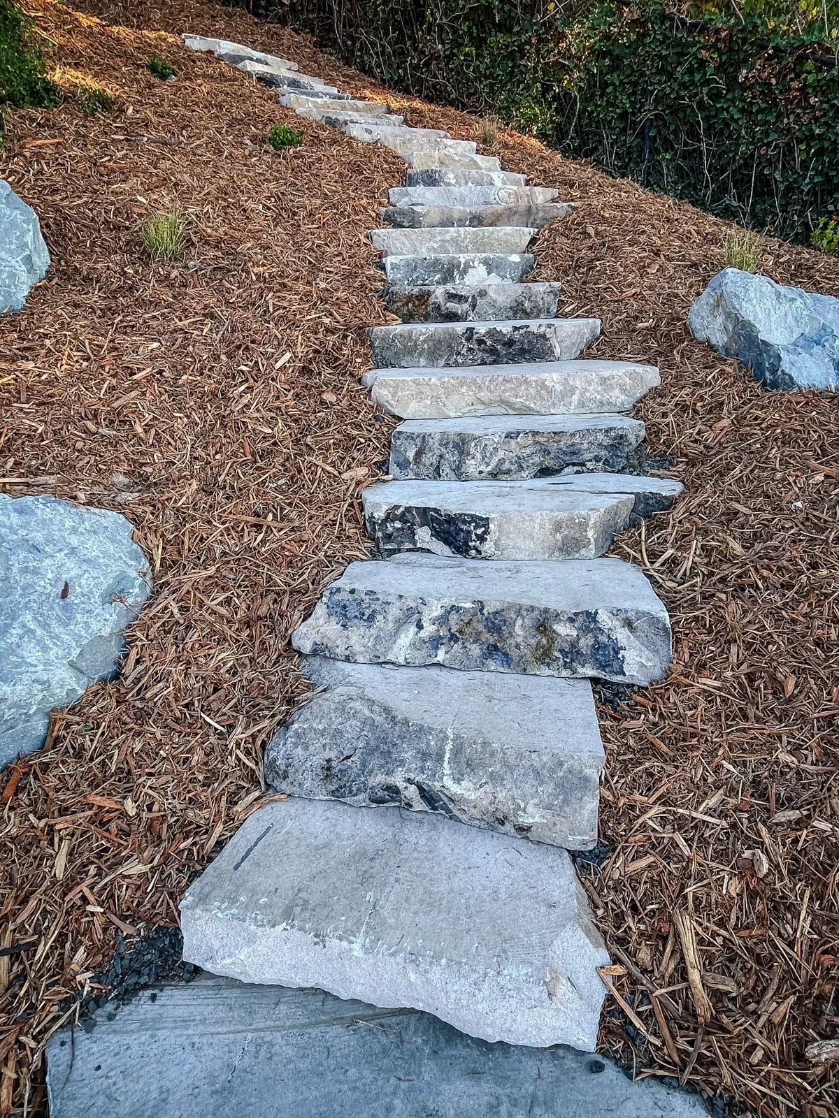 Thick stone staircase through garden.