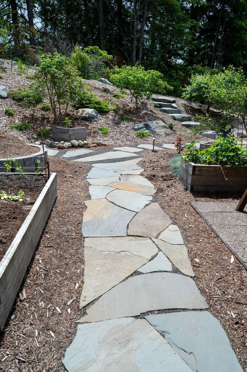 Slate walkway with vegetable boxes on the side.