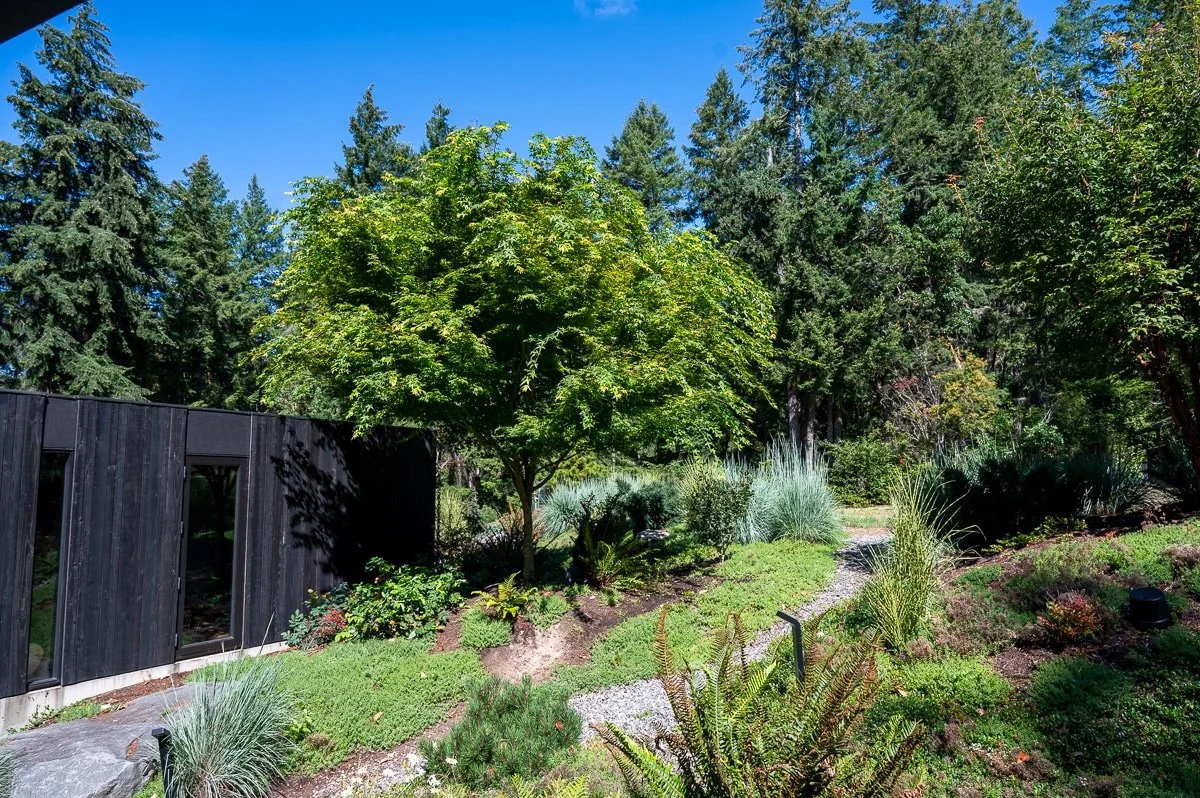 Modern home blends into natural landscape-565.jpg