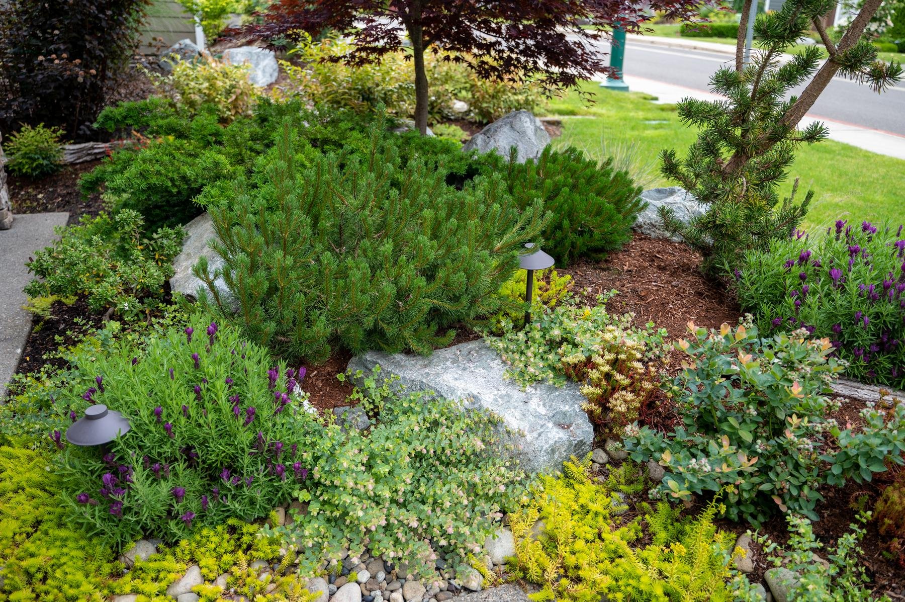 Landscaped planting bed with LED pathway lights in it.