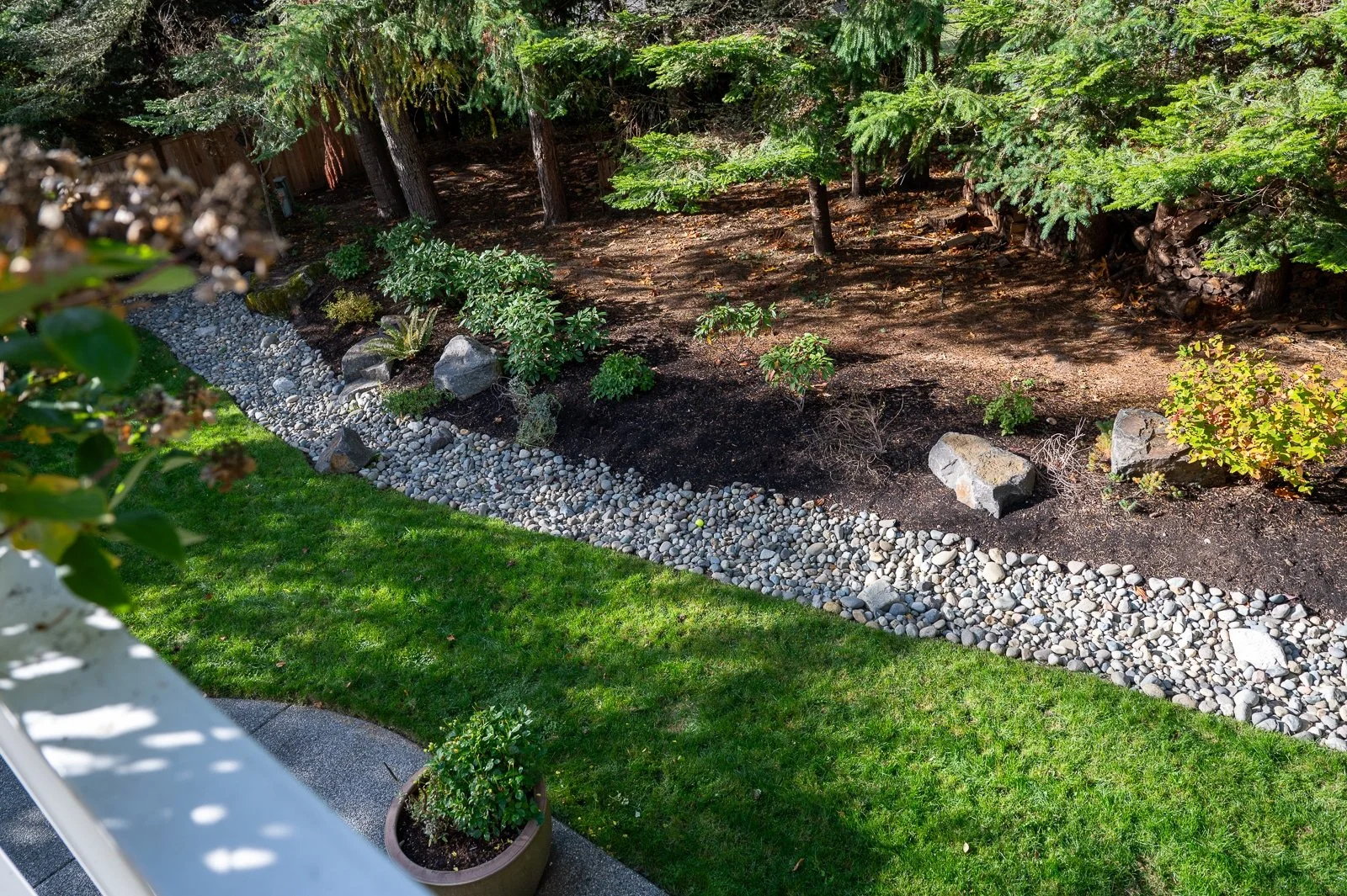 Dry river creek bed leading through a PNW landscape 1.jpg