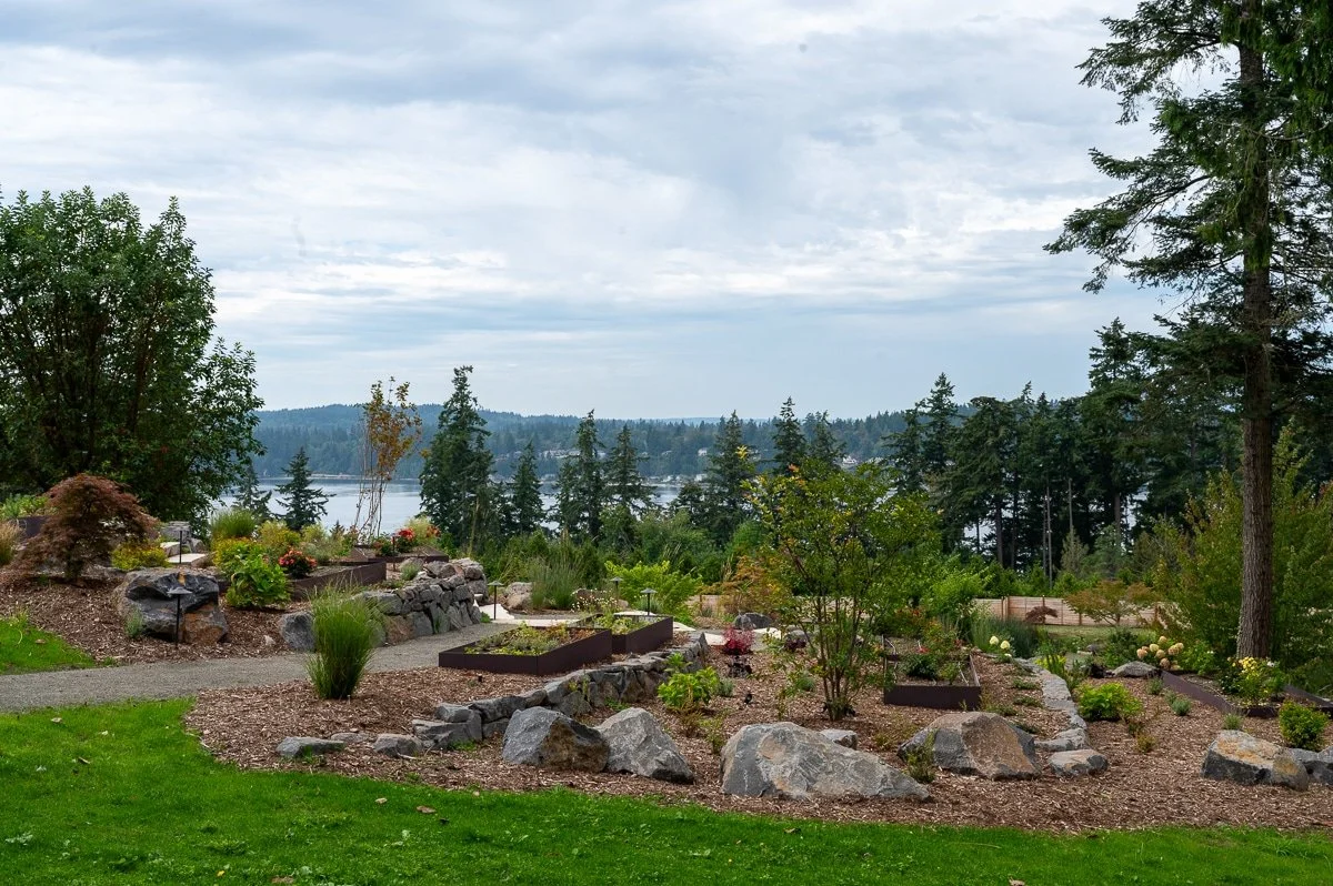 Raised steel planting beds with drip irrigation-72.jpg