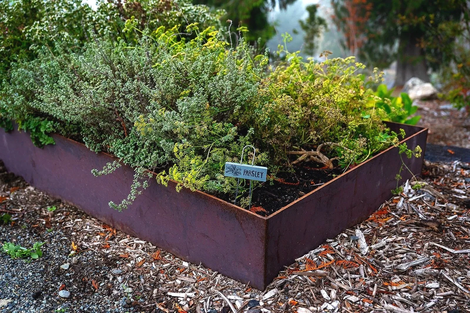 Custom+welded+veggie+beds+with+drip+irrigation+installed+4.jpg