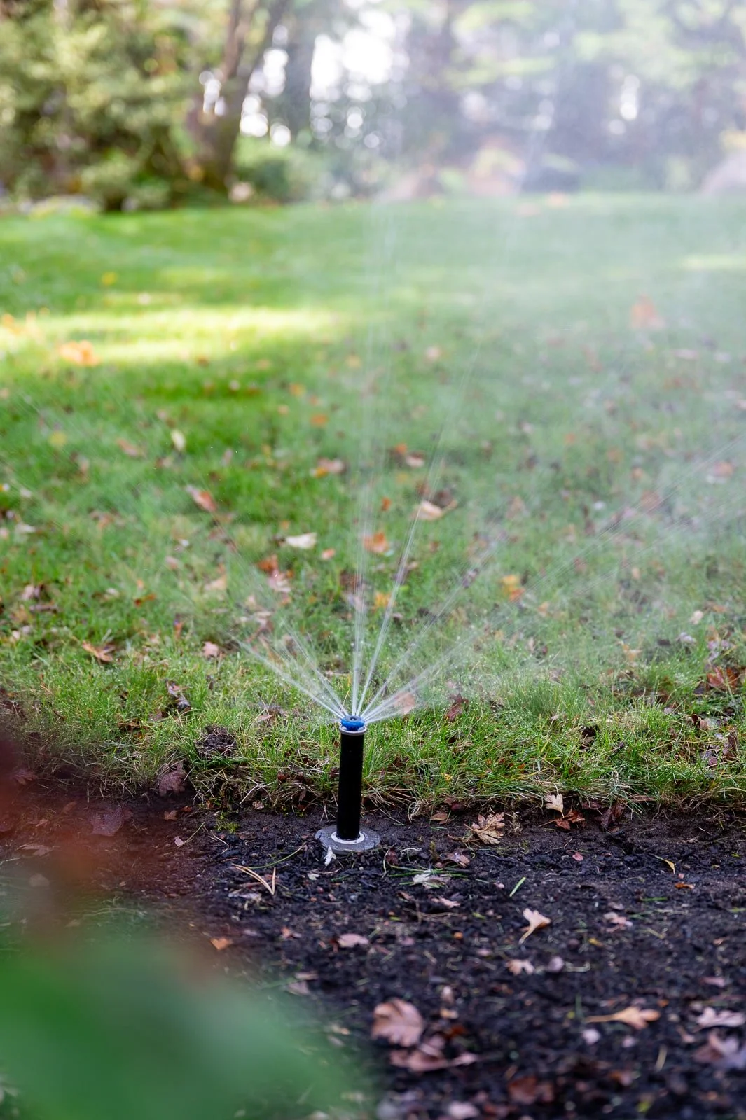 In ground irrigation 3.jpg