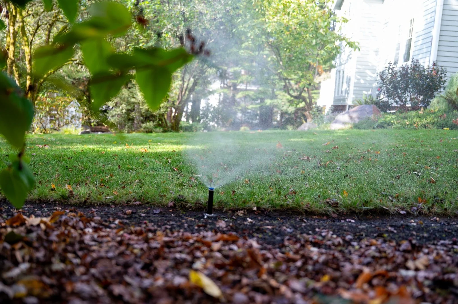 Pop up irrigation head on the edge of a garden.jpg