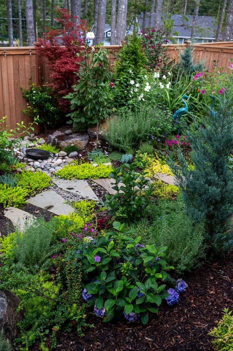 Back yard landscape design and install by Blacklotus-295.jpg