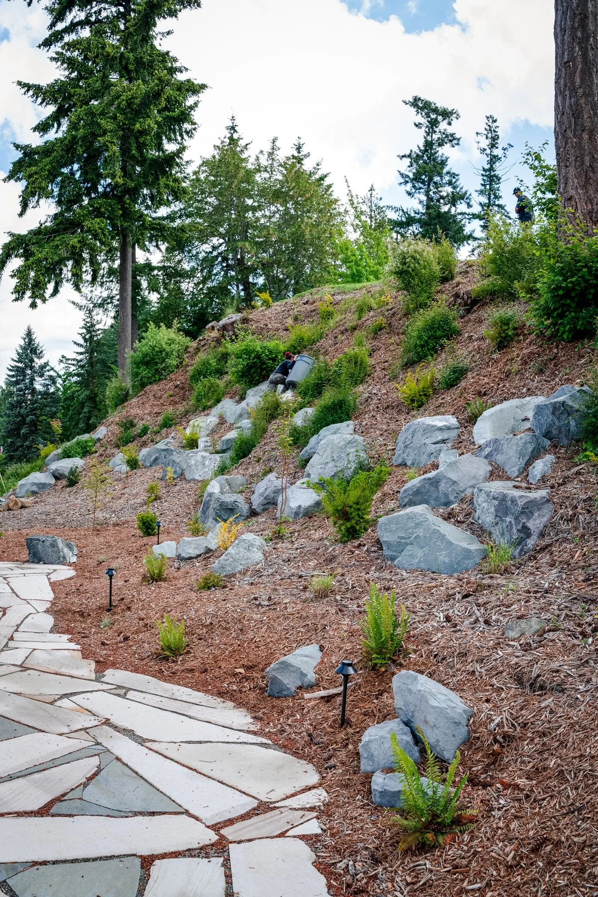 Blacklotus Landscaping Landscape Contractor Slate Patio and Alpine Rockery.jpg