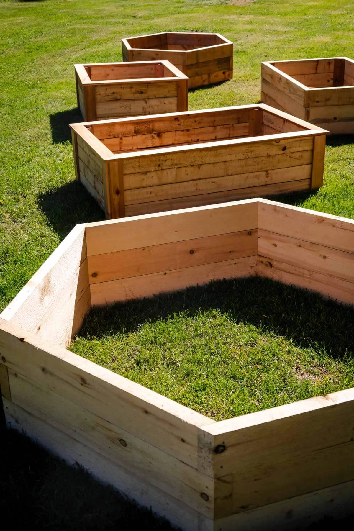 Handmade cedar vegetable boxes-17.jpg