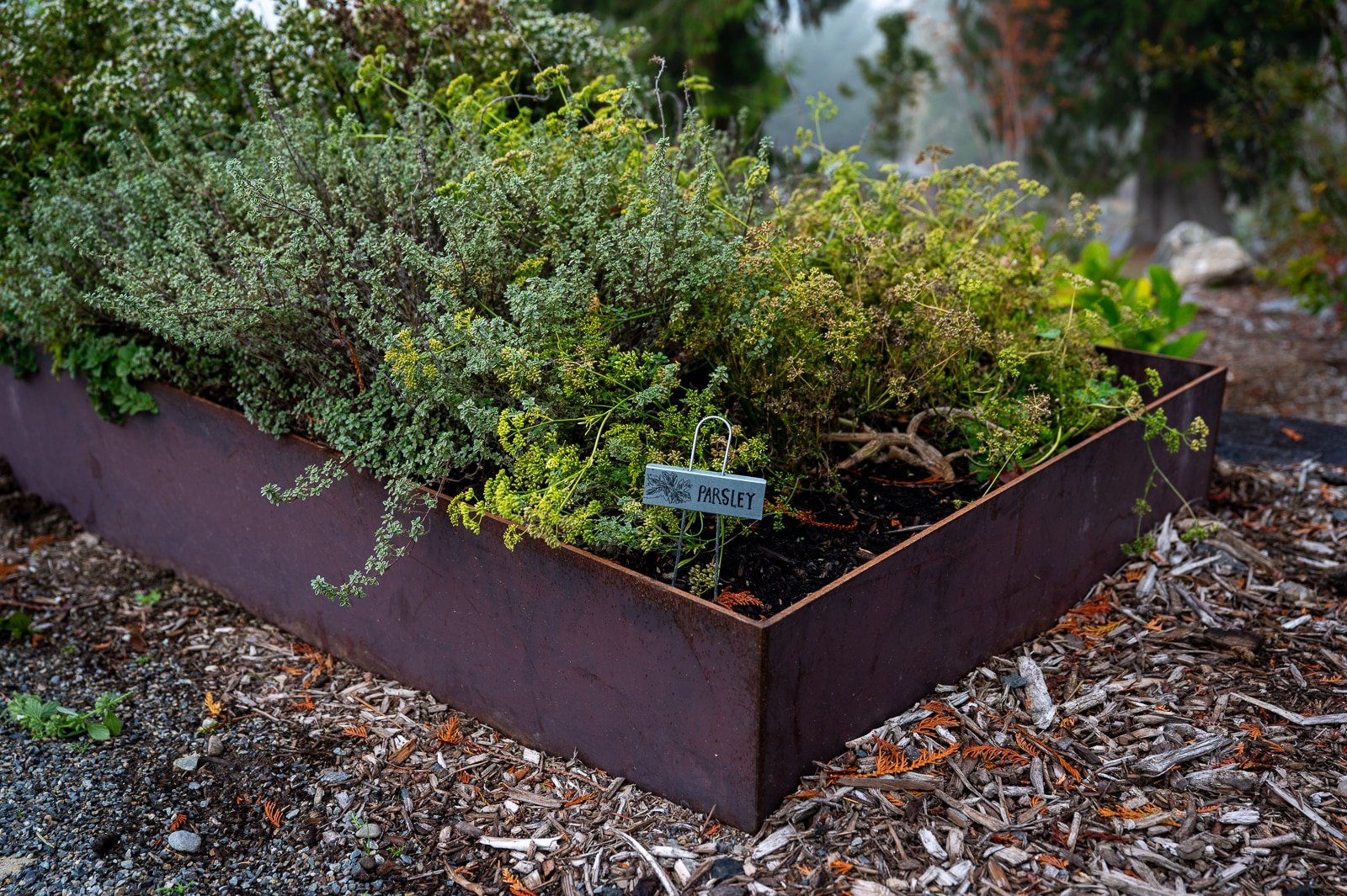 Custom welded veggie beds with drip irrigation installed 4.jpg