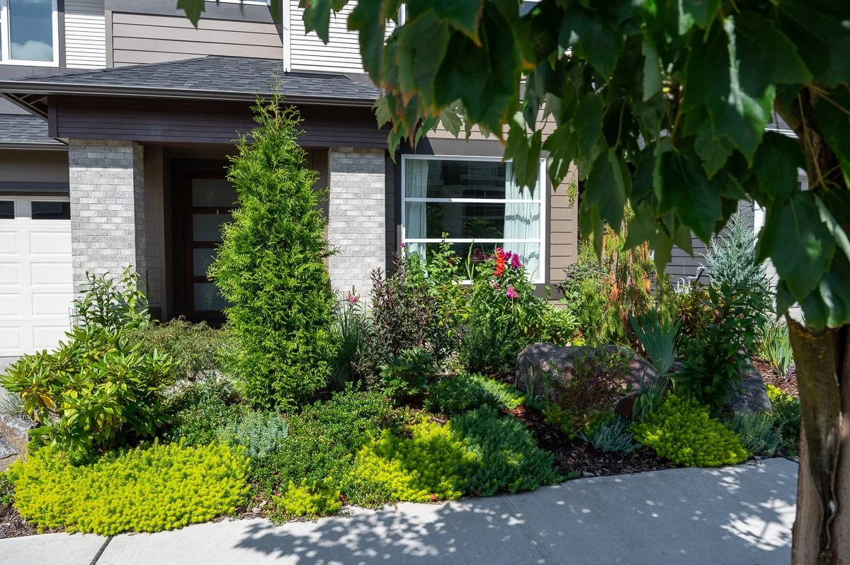 Front yard installation by Blacklotus Landscaping-263.jpg