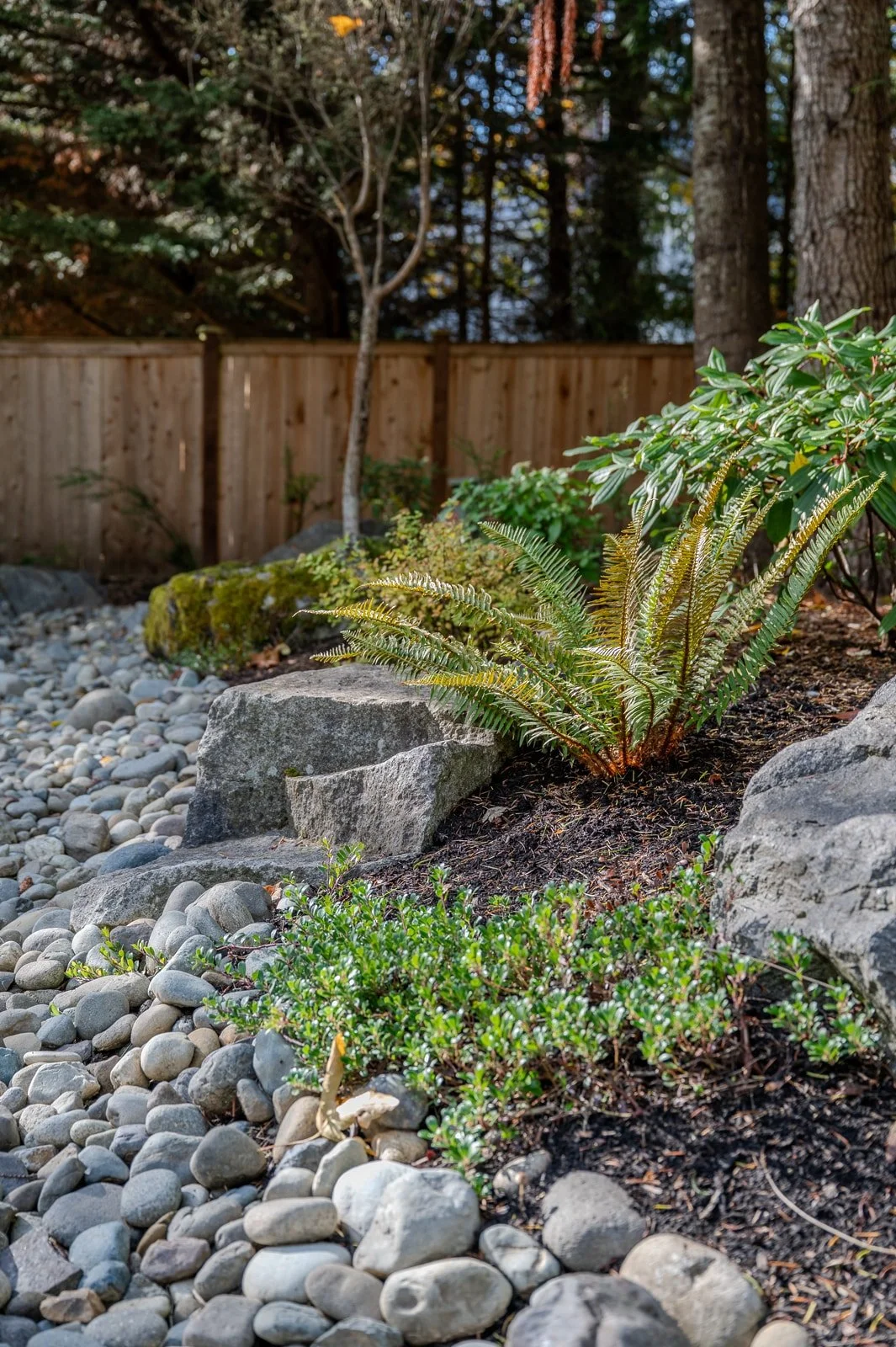Dry river creek bed leading through a PNW landscape 9.jpg