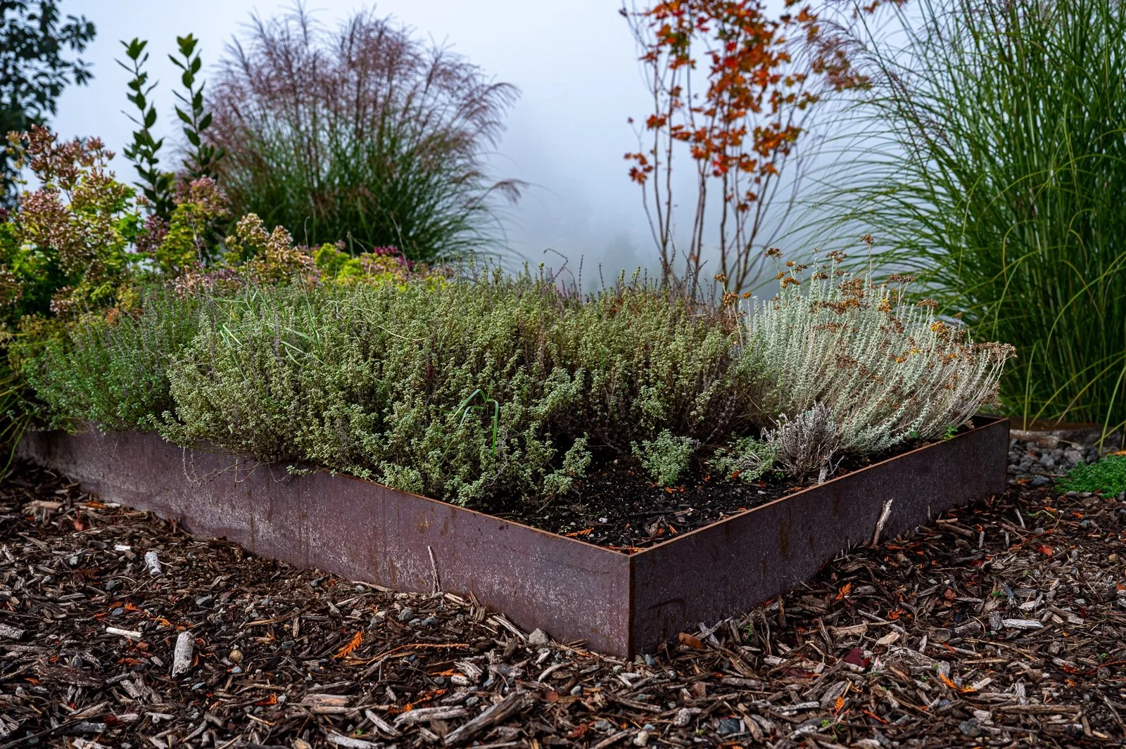 Custom welded veggie beds with native plants surrounding it 10.jpg