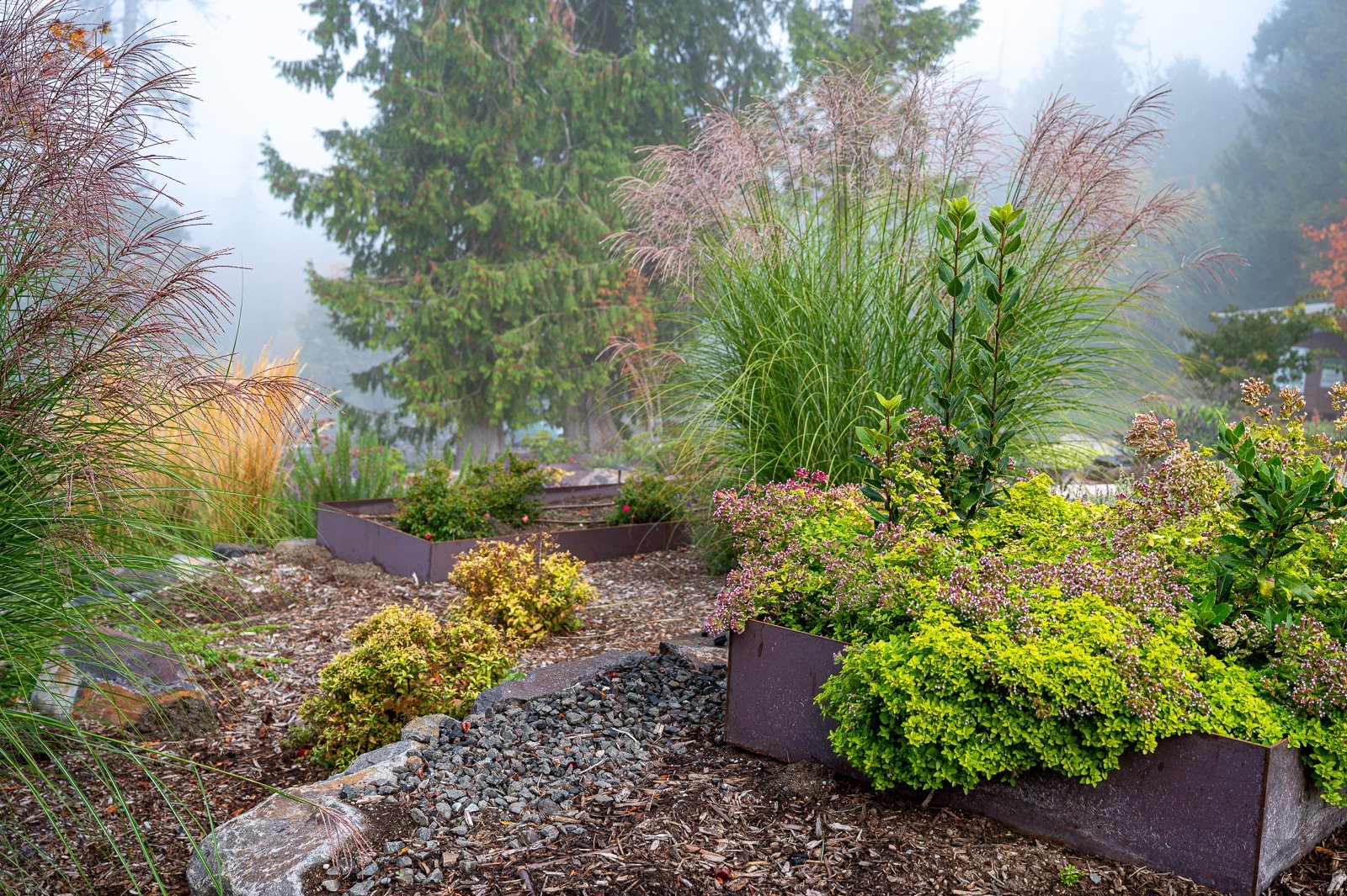 Custom welded veggie beds with native plants surrounding it 9.jpg