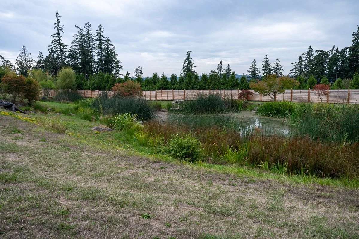Natural pond at a wedding venue-192.jpg