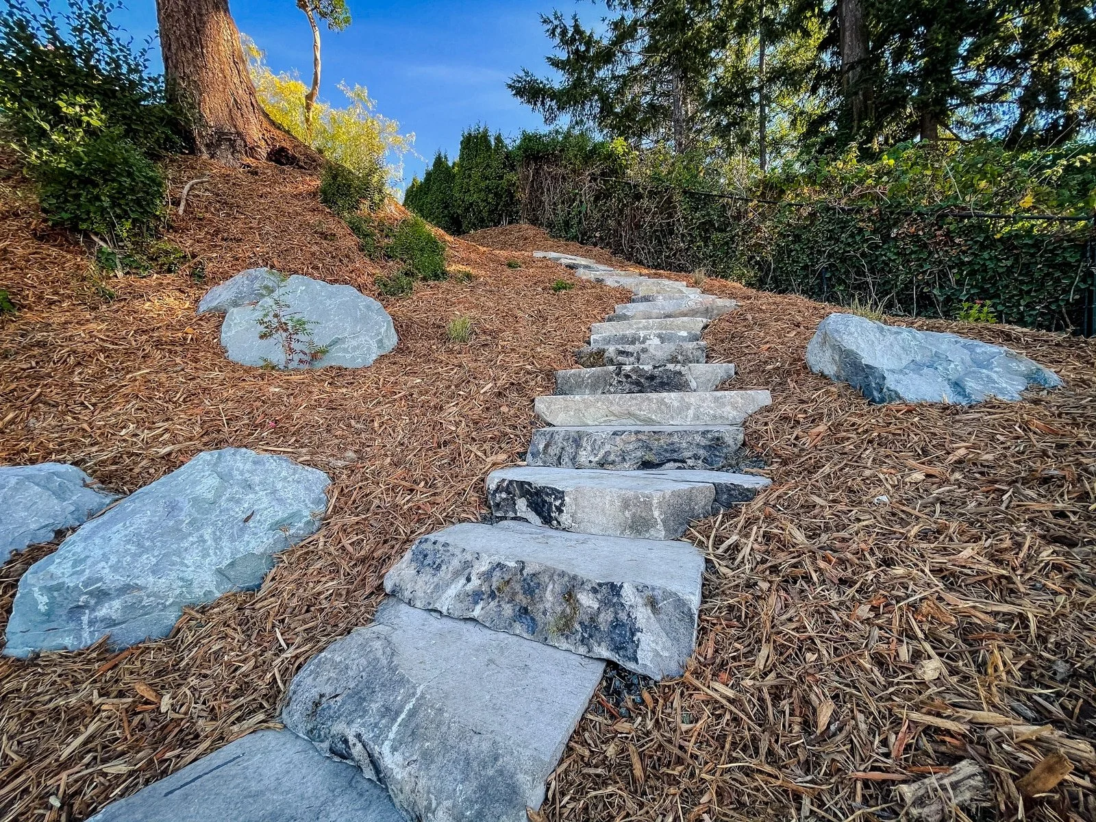 Grey stone stairs surrounded by wood chips.