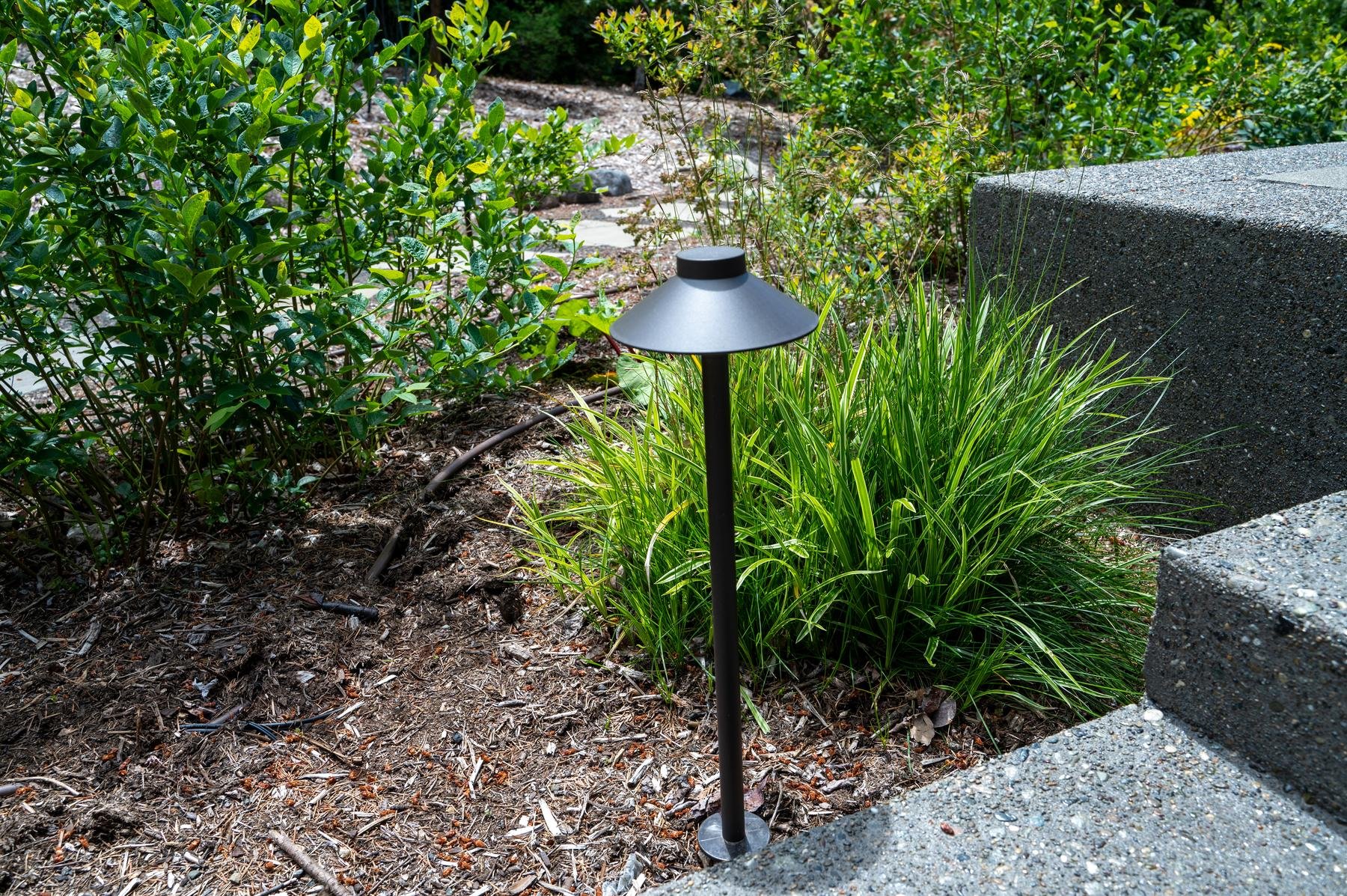 LED pathway light lighting up concrete steps.