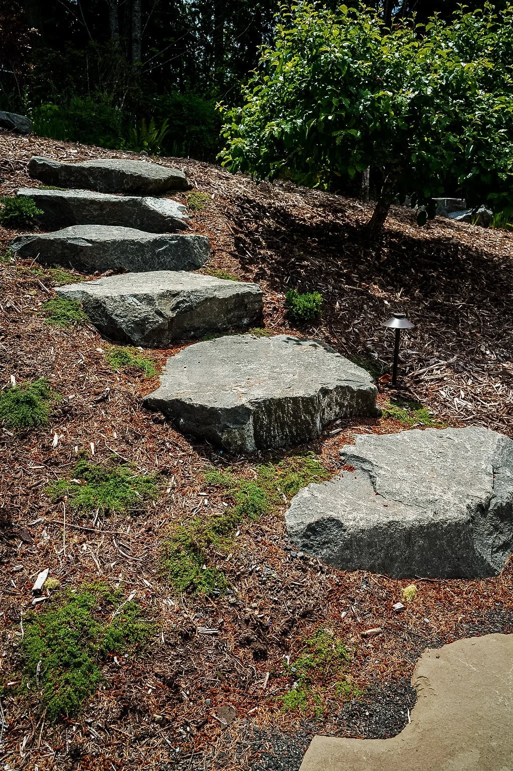 Rugged stone staircase up garden hill.