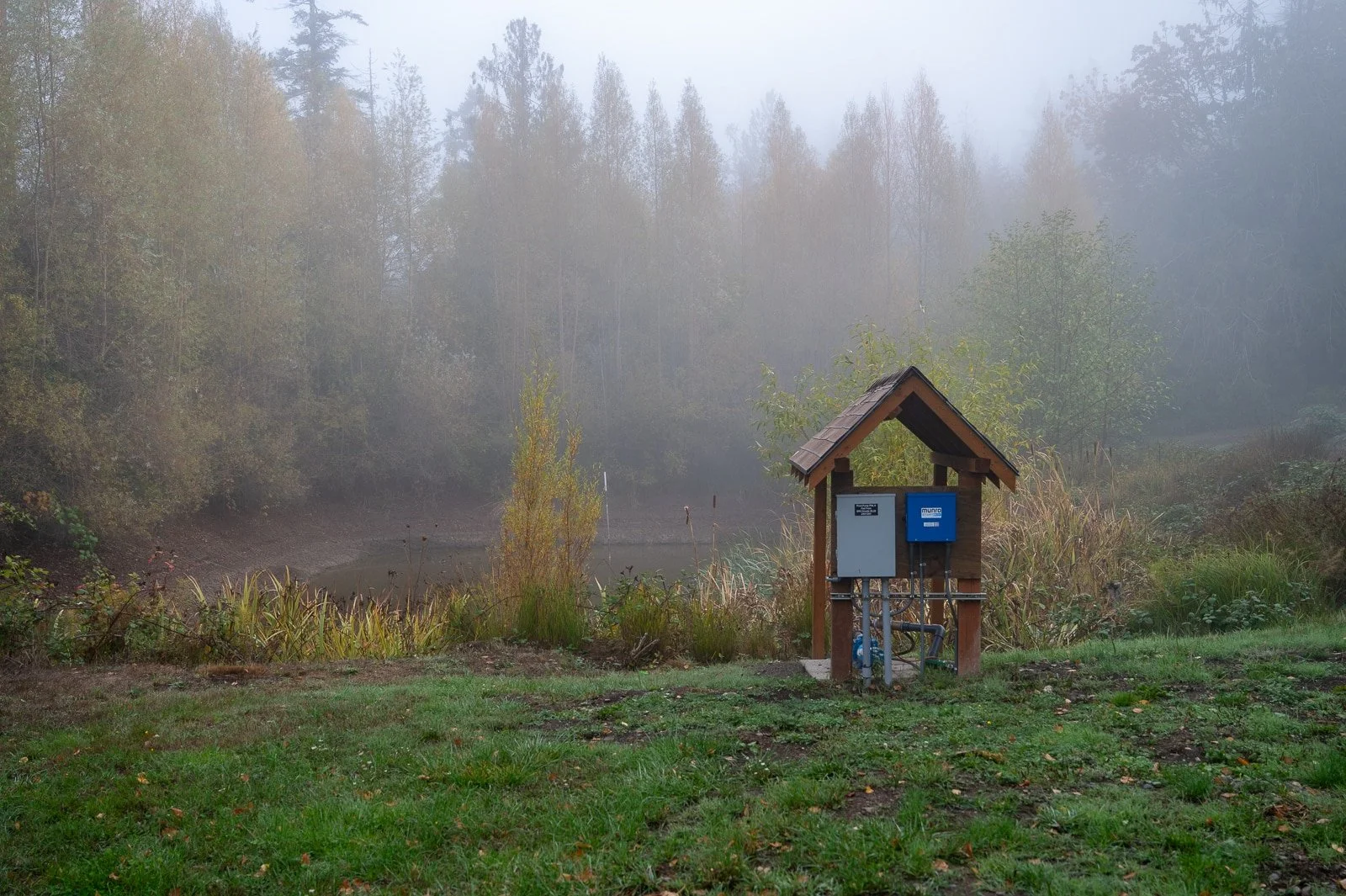 Large eco pond surrounded by plants 4.jpg