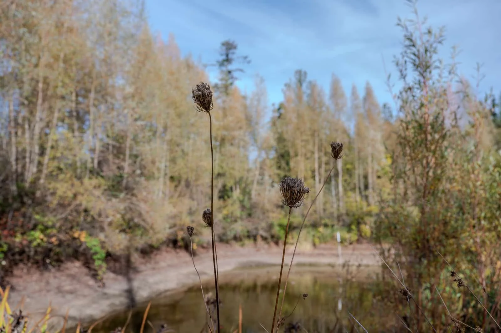 Eco pond at PNW wedding venue-198.jpg
