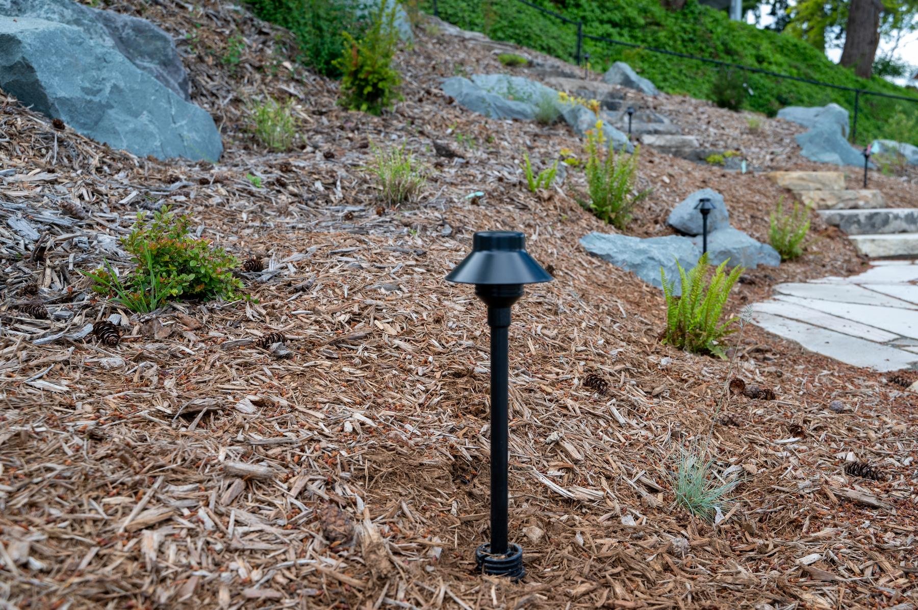 Black LED landscape pathway light.