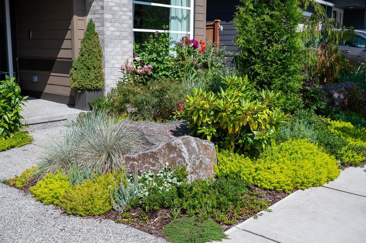 Landscape design and install by Blacklotus-267.jpg