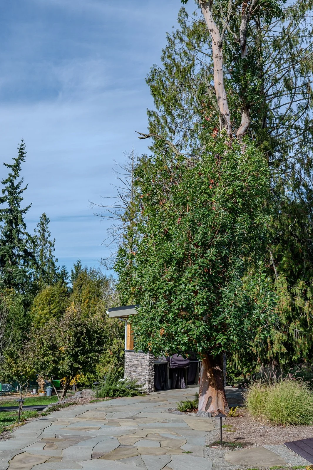 PNW slate patio-166.jpg