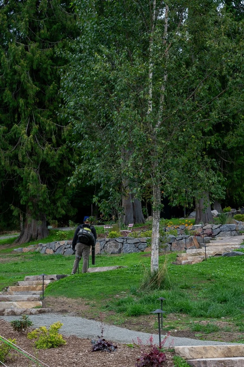 Landscaper using a blower to clear leaves off pathway-18.jpg