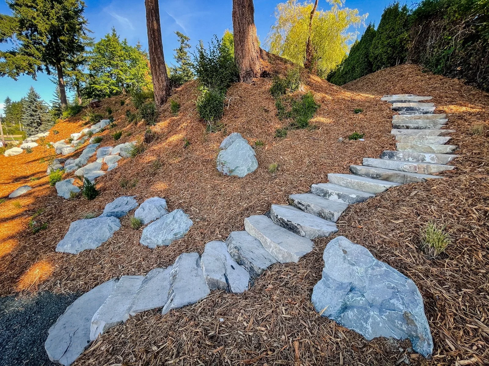 Wood chipped hill with placement rocks and a stone staircase.