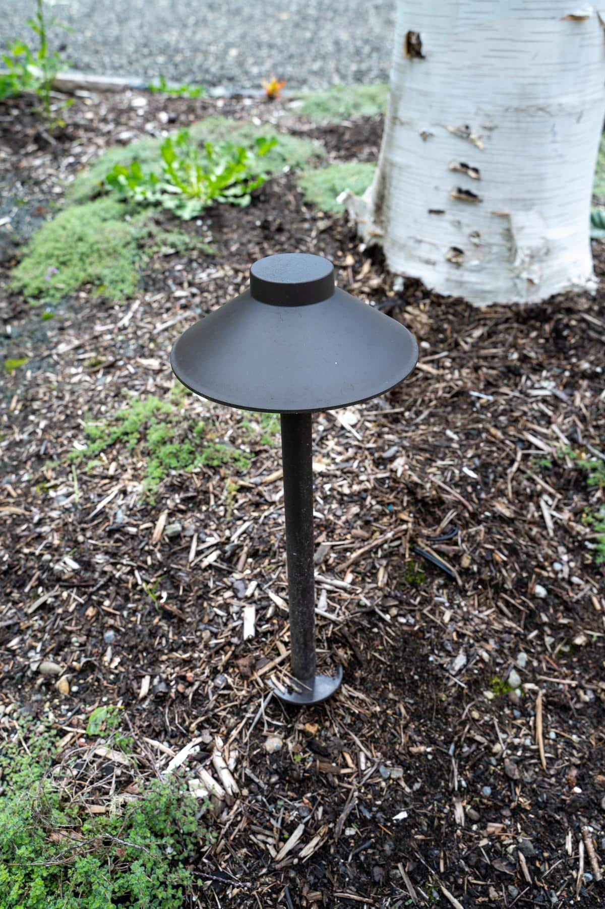 Angle view of pathway landscape light.