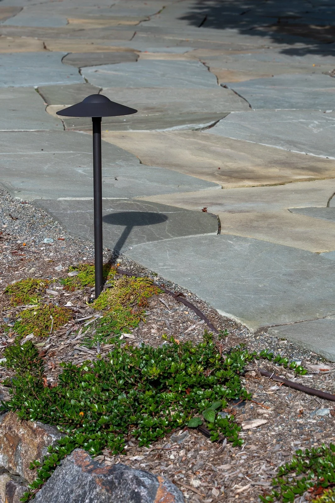 LED landscape light.jpg