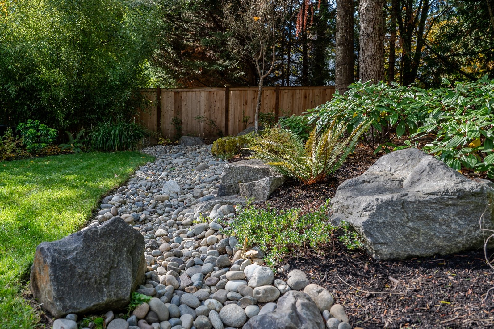 Dry river creek bed leading through a PNW landscape 8.jpg
