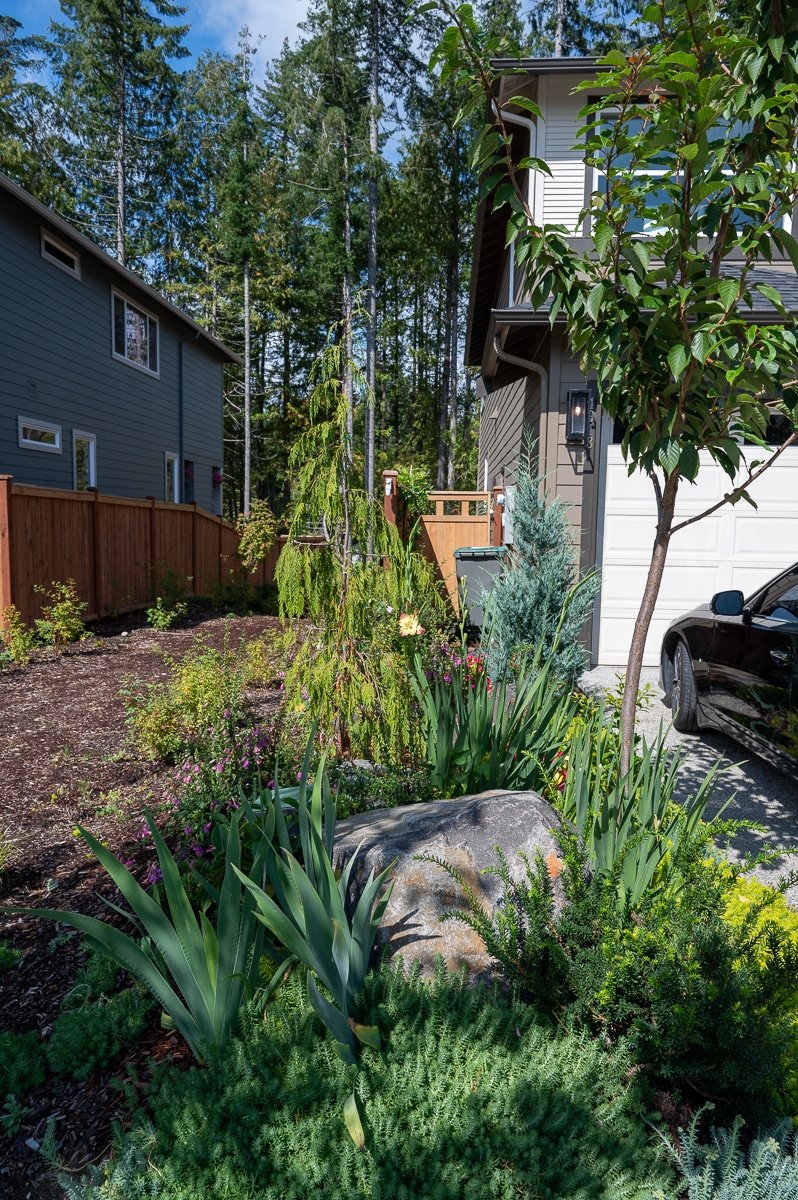 Landscape design and install by Blacklotus-264.jpg