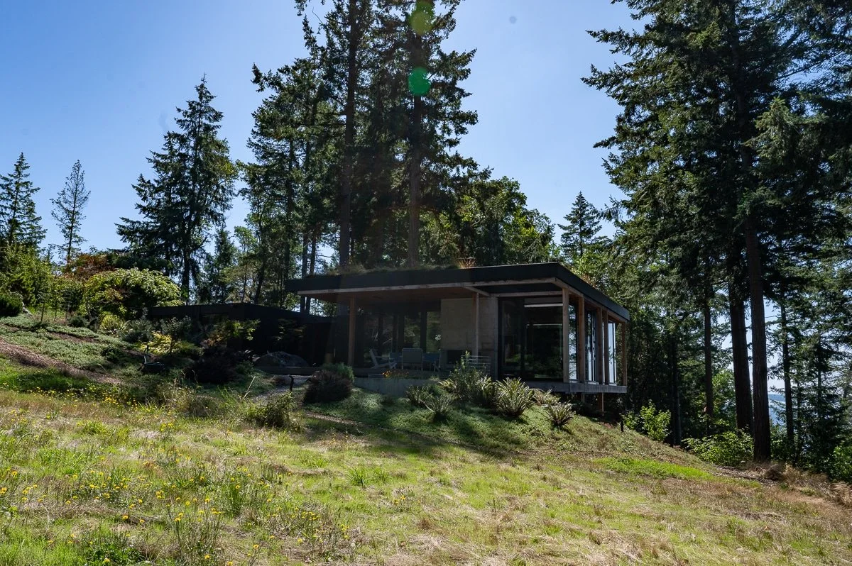 Green roof blends into low maintenance landscape-579.jpg