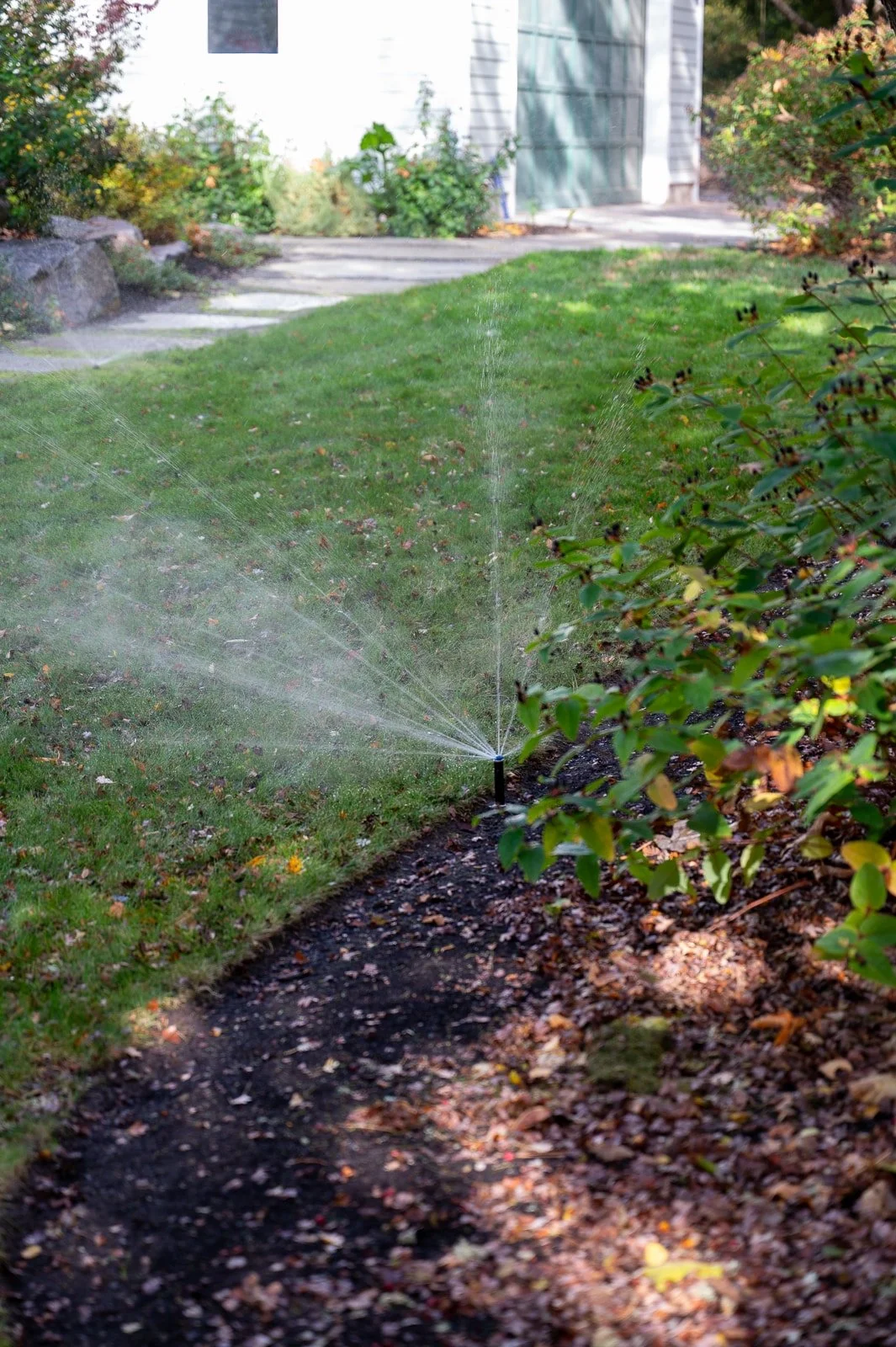 In ground irrigation 1.jpg