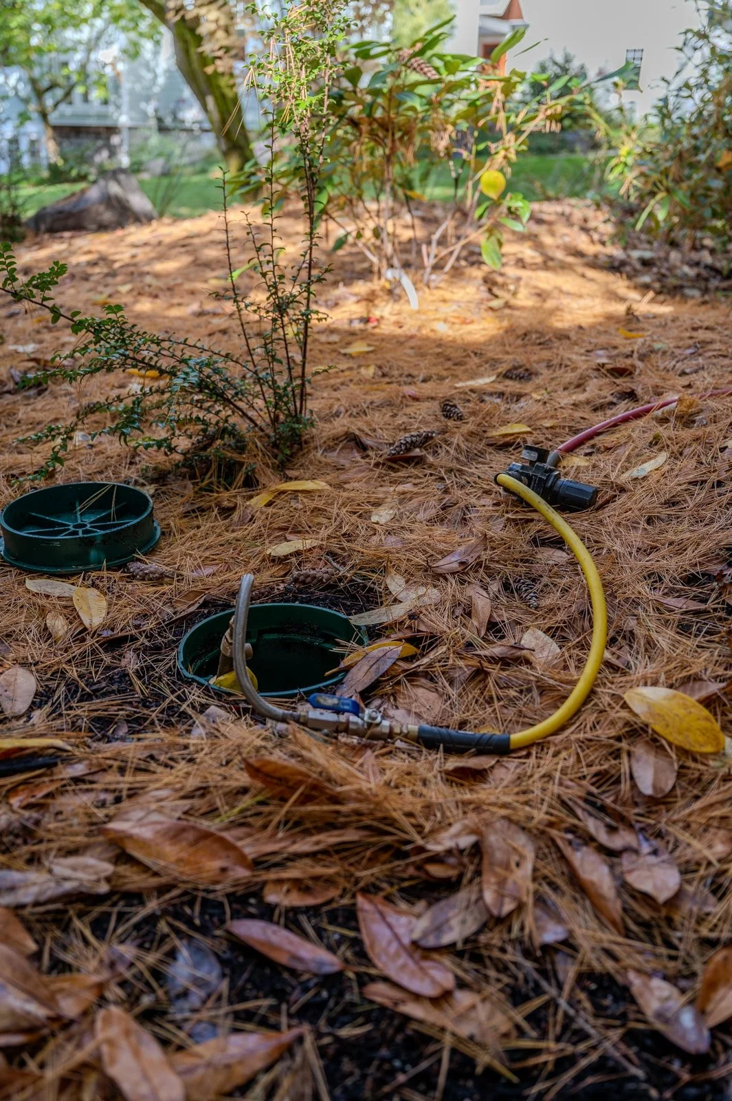 Ground covered in copper colored leaves with irrigation holes showing.jpg