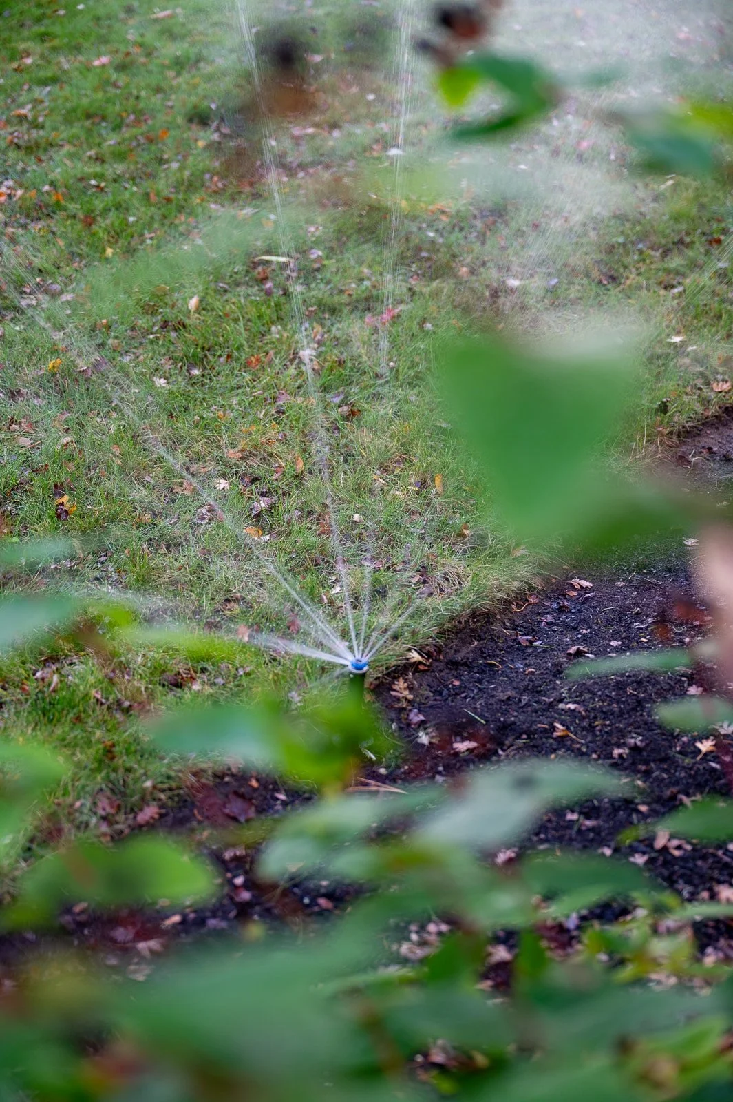 In ground irrigation 2.jpg