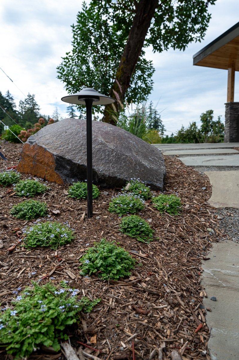Black LED light on the edge of a garden.