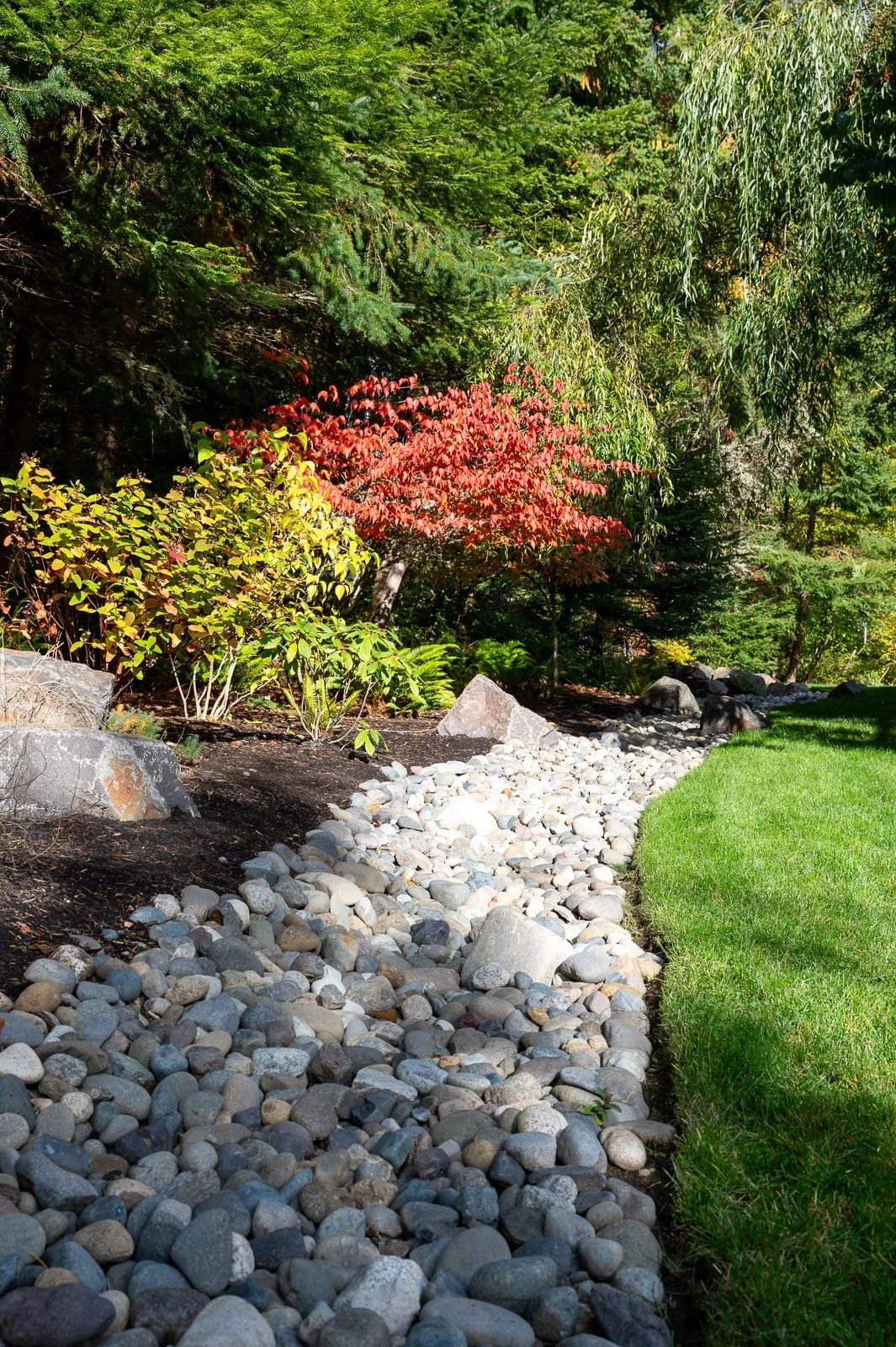 Dry river creek bed leading through a PNW landscape 10.jpg