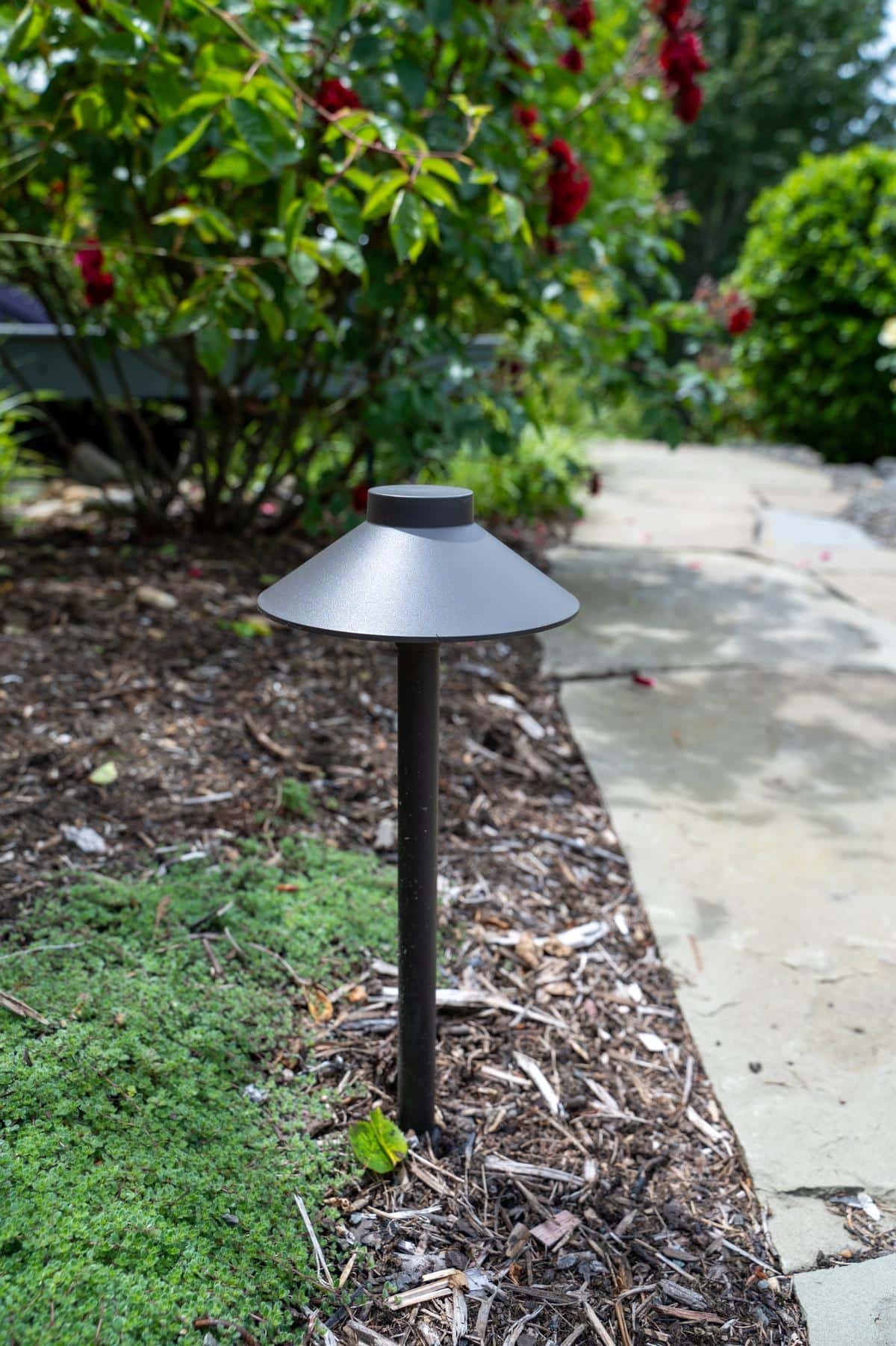 Black LED pathway light in a wood chip planting bed.