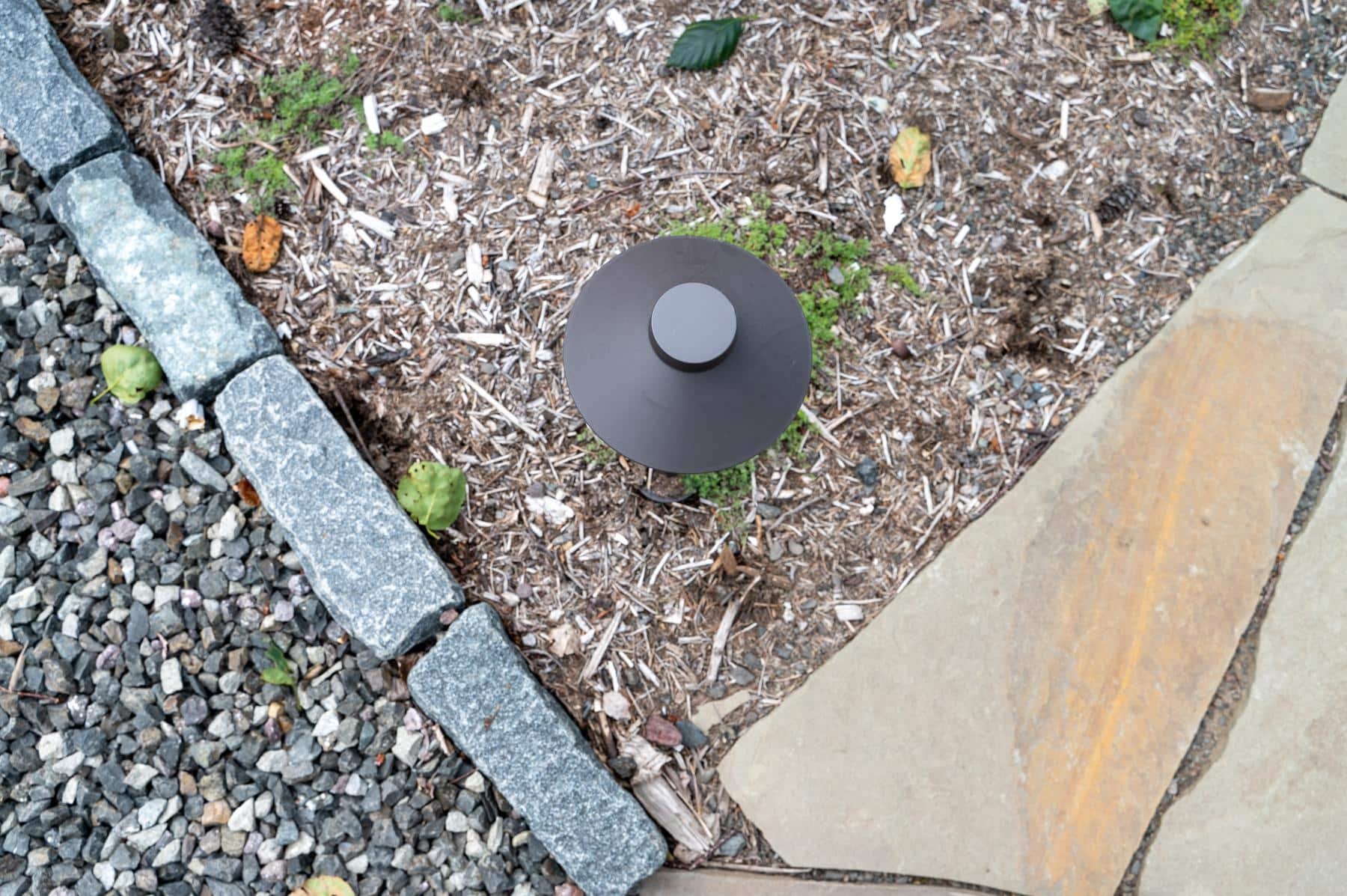 The top of a bronze pathway light in a wood chipped bed.