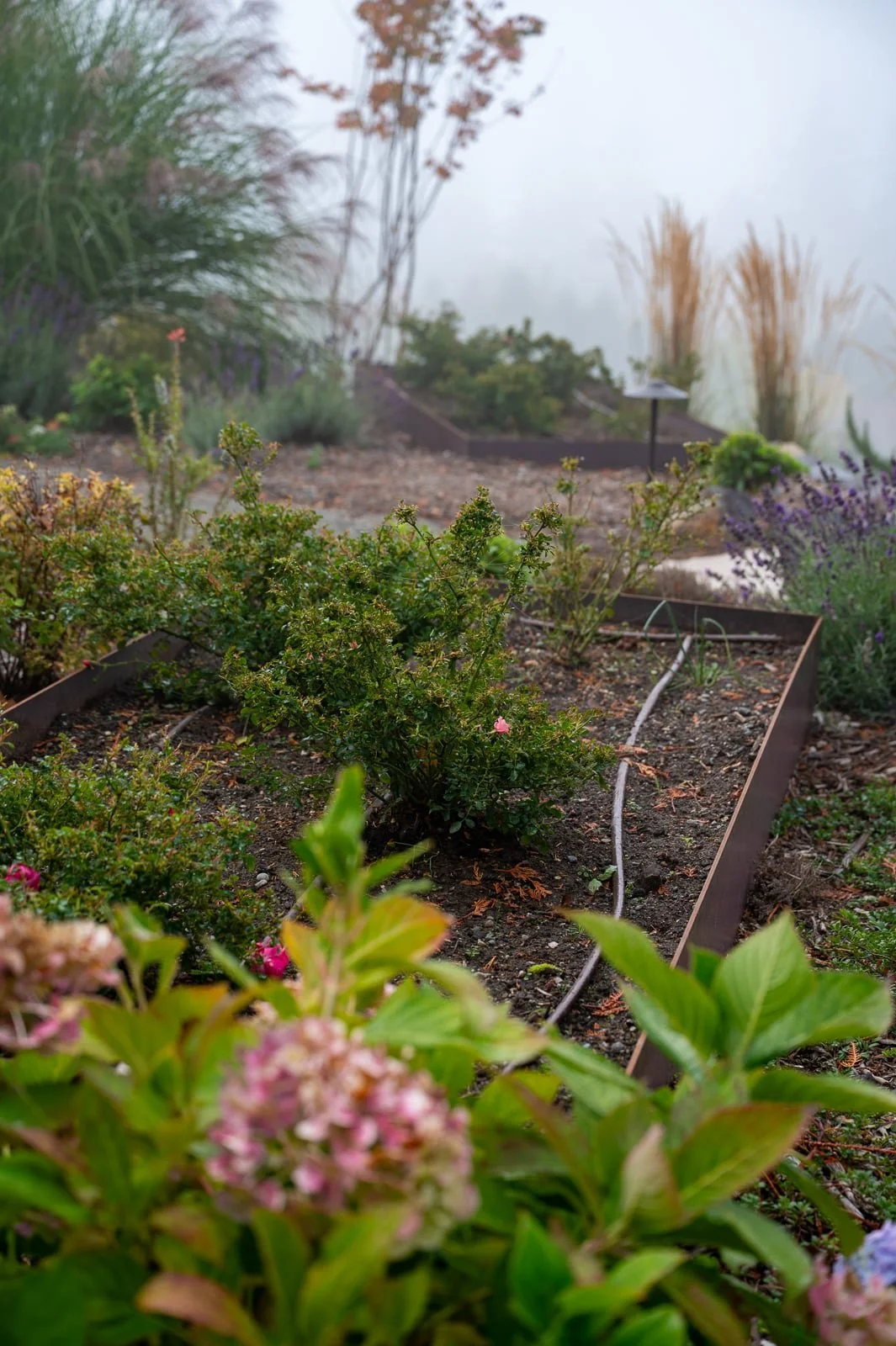 Drip irrigation in raised veggie bed-109.jpg