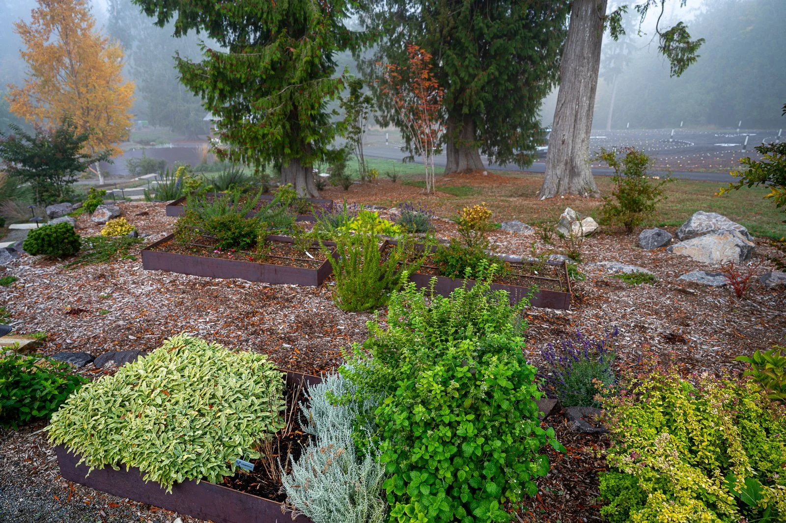 Custom made metal veggie beds-116.jpg