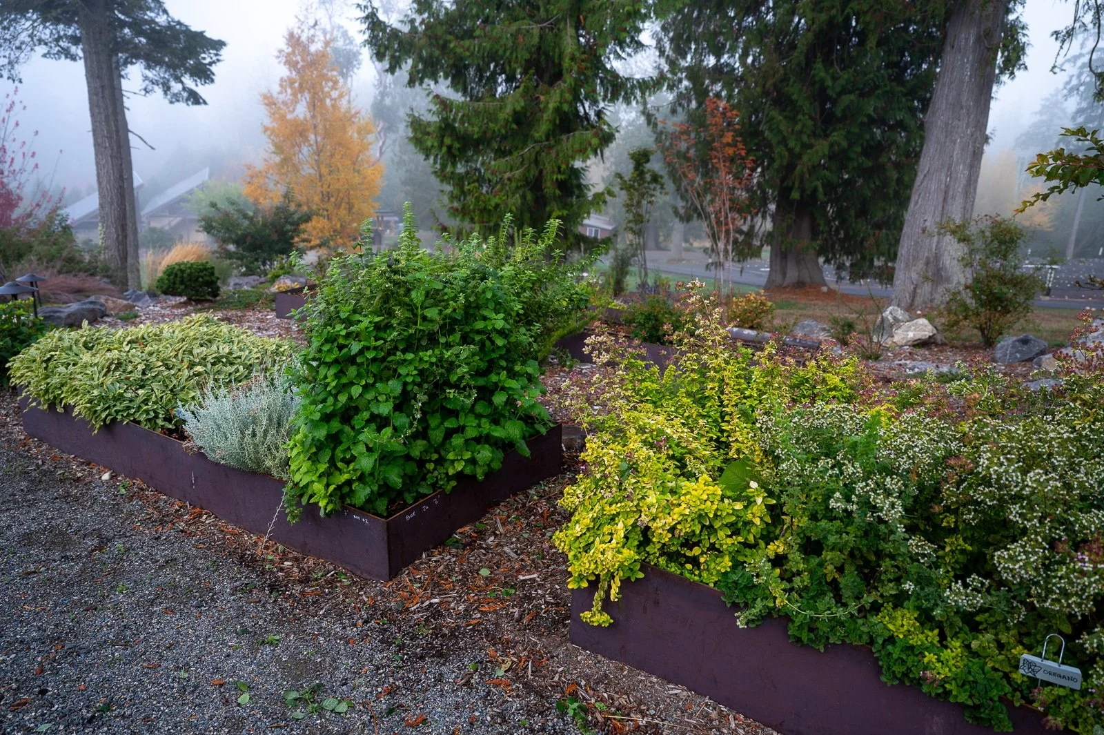 Custom welded veggie beds with drip irrigation installed 3.jpg